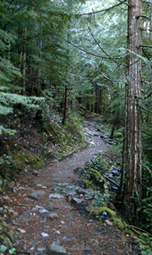Trail to Annette Lake