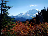 Mount Rainier - From Summit Lake